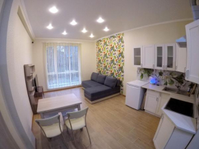 Studio Apartment on Zelenaya 2a